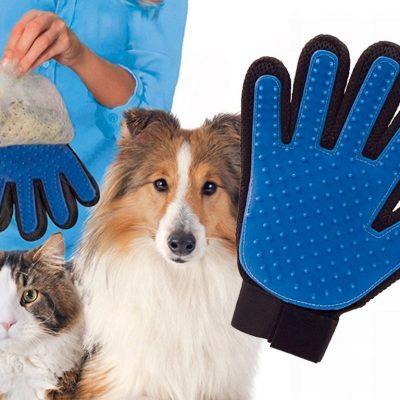 Магична ракавица за миленичиња