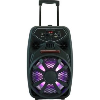 Пренослив караоке звучник 8" PK-09L